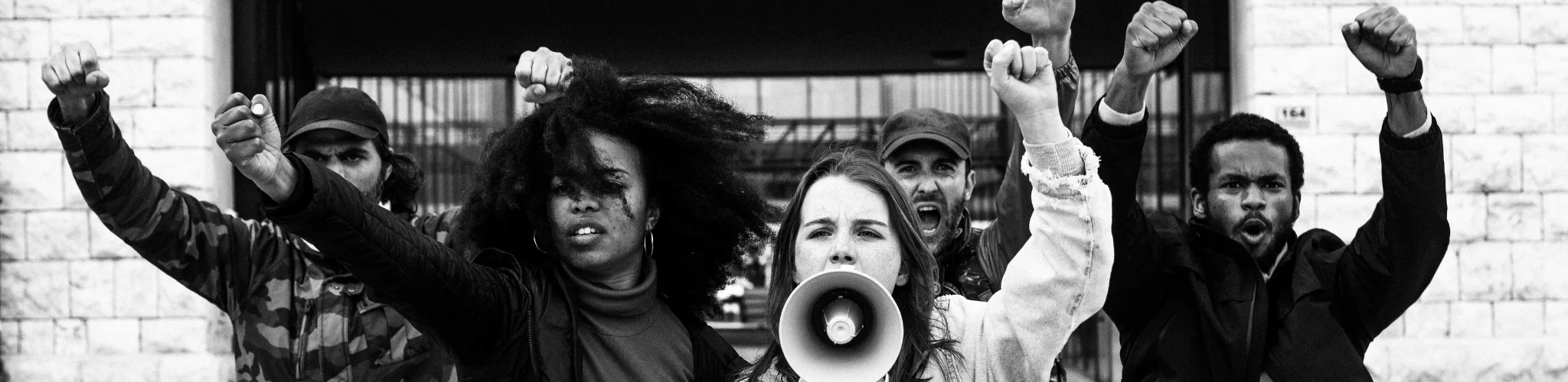 THE ART OF PERSUASION