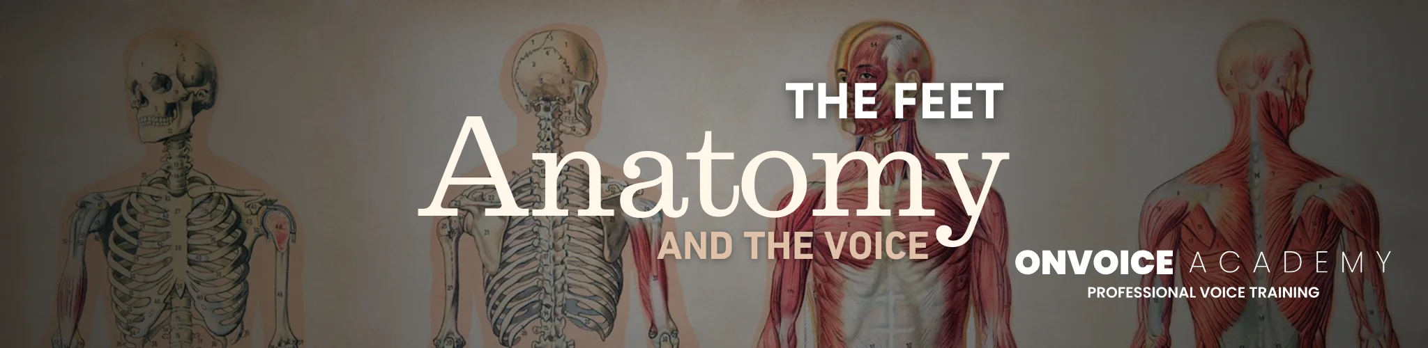 Anatomy-And-The-Voice-The-Feet-CBI